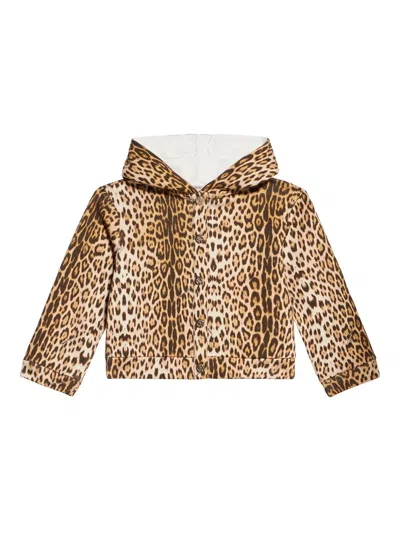 Roberto Cavalli Junior Babies' Jaguar-print Hoodie In Brown