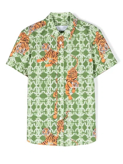 Roberto Cavalli Junior Hemd Mit Tiger-print In Green