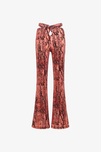 Roberto Cavalli Just Cavalli Trousers In Fuchsia