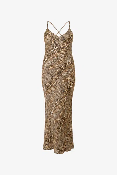 Roberto Cavalli Silk Dress With Jaguar, Cheetah And Leopard Print In Brown