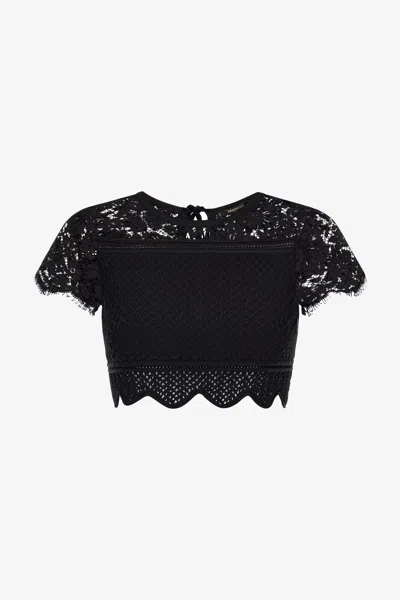 Roberto Cavalli Knit Crop Top With Lace In Black