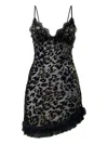 Roberto Cavalli Lace-trimmed Leopard-pattern Mini Dress In Black