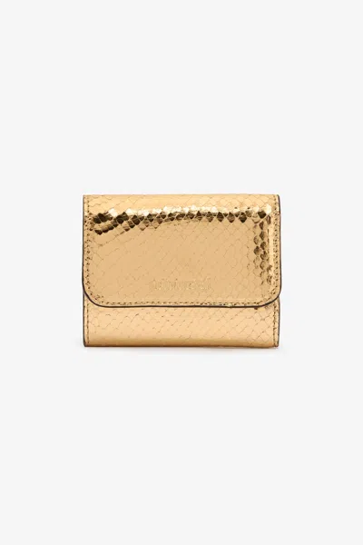 Roberto Cavalli Laminated Cardholder With Snake Print In Gold