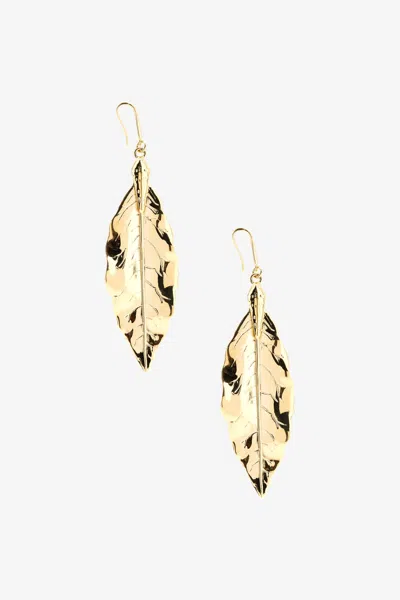 Roberto Cavalli Leaf Earrings In Gold