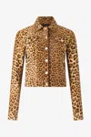 Roberto Cavalli Leather Jacket With Leopard Skin Print In Brown