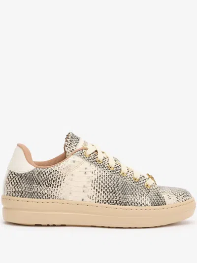 Roberto Cavalli Leather Sneakers In Black/white