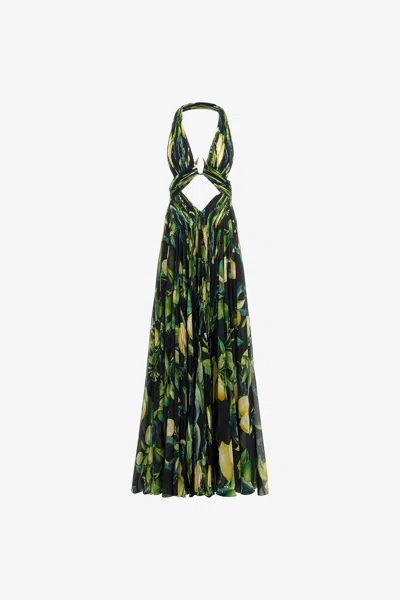Roberto Cavalli Lemon Print Long Dress In Black