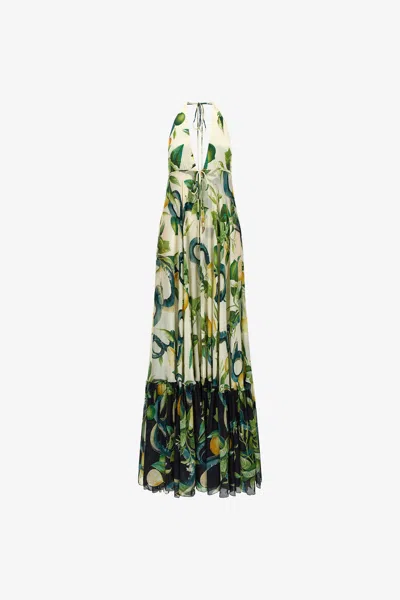 Roberto Cavalli Lemon Print Long Dress In Ivory