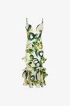 Roberto Cavalli Snake-print Ruffled Midi Dress In Ivory