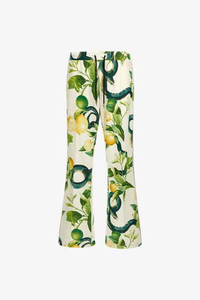 Roberto Cavalli Straight-leg Snake-print Track Pants In Ivory