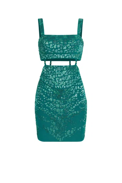 Roberto Cavalli Leopard Bead-embellished Mini Dress In Green