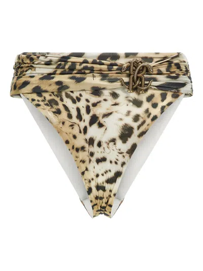 Roberto Cavalli Leopard-print Belted Bikini Bottom In Brown