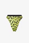 Roberto Cavalli Leopard-print Bikini Bottoms In Light Green