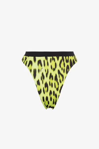 Roberto Cavalli Leopard-print Bikini Bottoms In Light Green