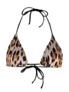 Roberto Cavalli Leopard-print Bikini Top In Brown