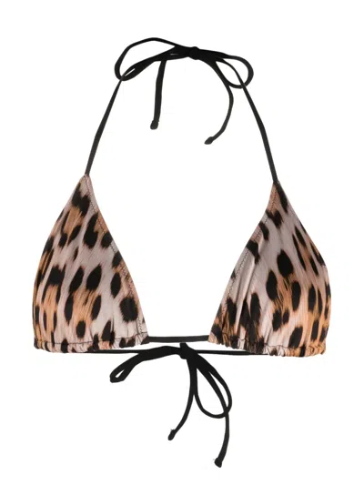 Roberto Cavalli Leopard-print Bikini Top In Brown