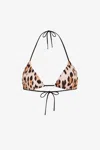 Roberto Cavalli Leopard-print Bikini Top In Light Brown