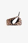 Roberto Cavalli Leopard-print Single-shoulder Bikini Top In Light Brown
