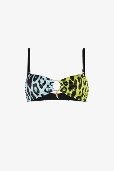 Roberto Cavalli Leopard-print Bikini Top In Light Green/light Blue