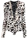 Roberto Cavalli Leopard Print Bodysuit In Black