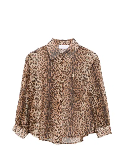 Roberto Cavalli Leopard-print Buttoned Shirt In Brown