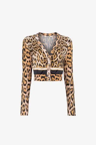 Roberto Cavalli Leopard-print Cropped Cardigan In Light Brown