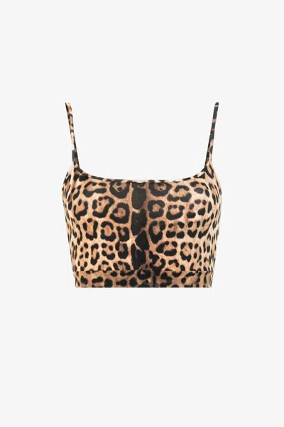 Roberto Cavalli Leopard-print Cropped Top In Light Brown