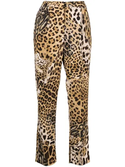 Roberto Cavalli Cropped-hose Mit Tiger-print In Neutrals