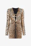 Roberto Cavalli Fitted Mini Dress With Leopard Print And Embellishments In Light Brown
