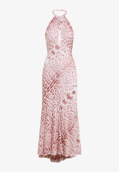 Roberto Cavalli Leopard Print Halterneck Midi Dress In Pink