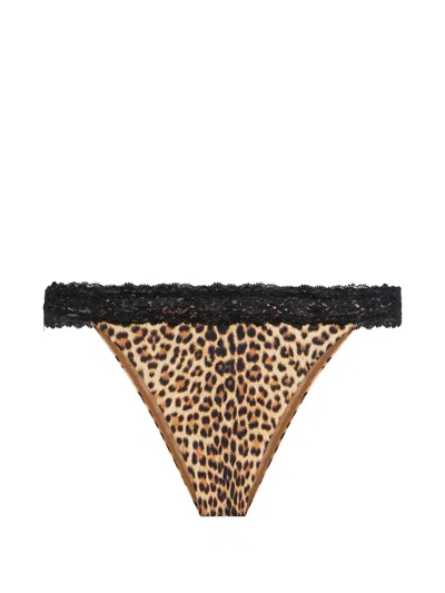 Roberto Cavalli Leopard Print Lace Swimwear In Animal Print