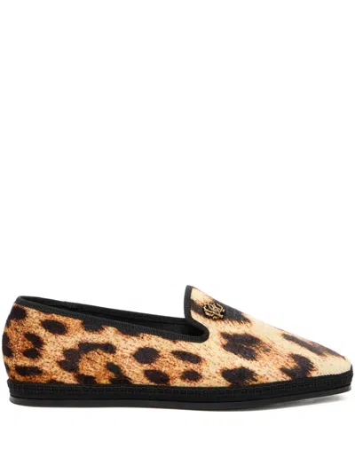 Roberto Cavalli Leopard-print Loafers In Brown