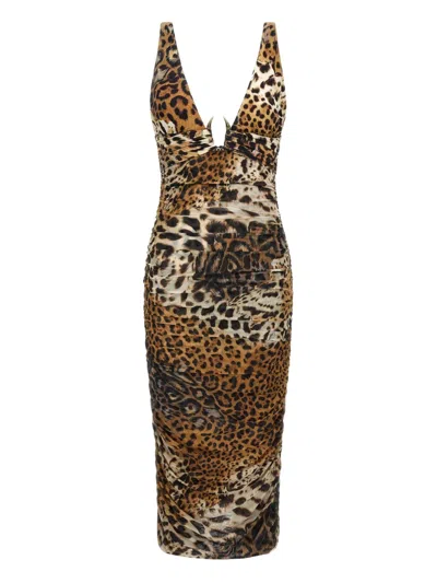 Roberto Cavalli Leopard-print Midi Dress In Brown