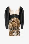 Roberto Cavalli Leopard-print Mini Dress In Light Brown