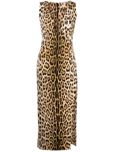 Roberto Cavalli Leopard-print Plunge Midi Dress In Neutrals