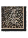 Roberto Cavalli Shawl With Queen Of Sicily Print In Brown