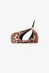 Roberto Cavalli Leopard-print Single-shoulder Bikini Top In Peach