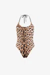 Roberto Cavalli Leopard-print Swimsuit In Light Brown