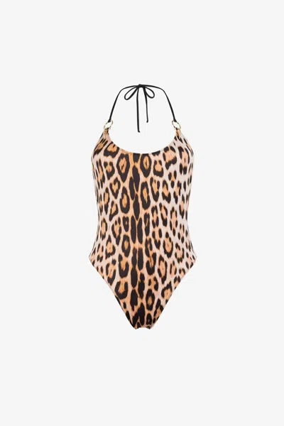 Roberto Cavalli Leopard-print Swimsuit In Light Brown