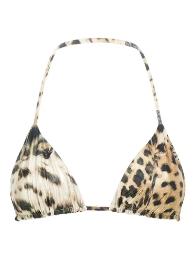 Roberto Cavalli Leopard-print Triangle Bikini Top In Multi