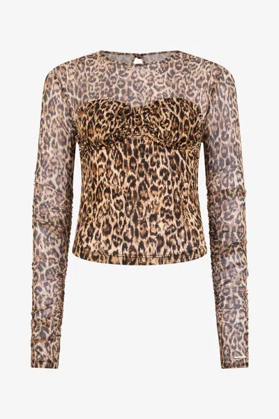 Roberto Cavalli Leopard Skin Print Sweater In Brown