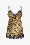 Roberto Cavalli Leopard Print Lace Slip Dress In Brown