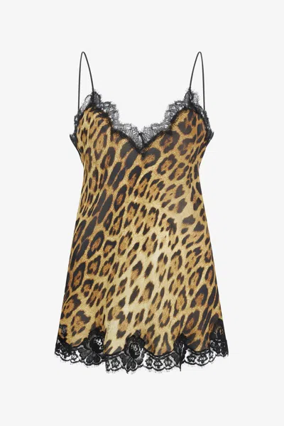 Roberto Cavalli Leopard Print Lace Slip Dress In Brown