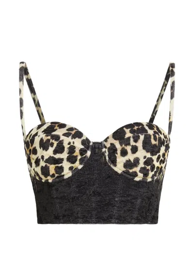 Roberto Cavalli Leopard-print Bustier Top In Black
