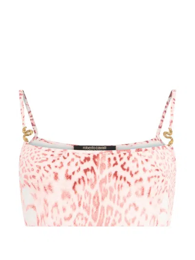 Roberto Cavalli Leopard-print Cropped Top In Pink