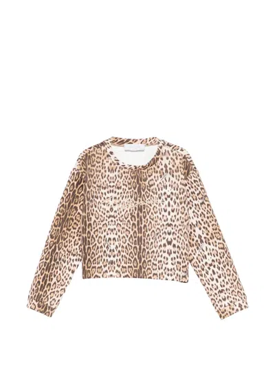 Roberto Cavalli Kids' Leopard-print Sweatshirt In Brown