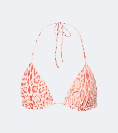 Roberto Cavalli Leopard-print Triangle Bikini Top In Pink