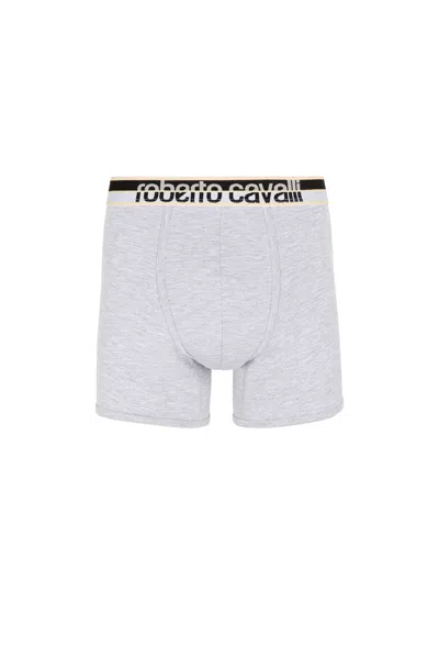Roberto Cavalli Logo Boxer Briefs In Gray