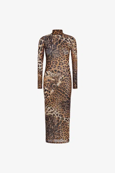 Roberto Cavalli Long Tulle Dress With Jaguar Print In Brown