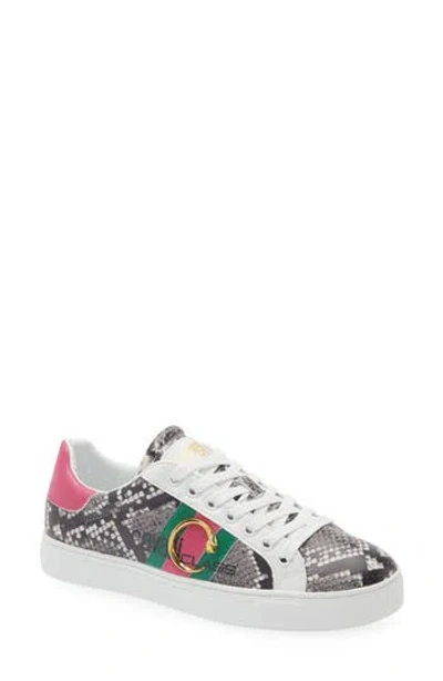 Roberto Cavalli Low Top Sneaker In White